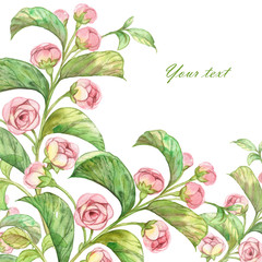  Flower background spring branch.jpg