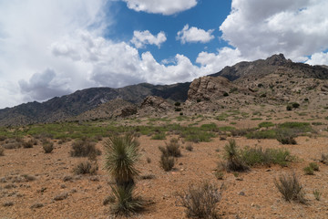 Fototapeta na wymiar Florida Mountains scenic, southwest New Mexico.