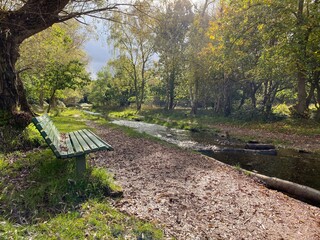 Fototapeta premium Bench in the park