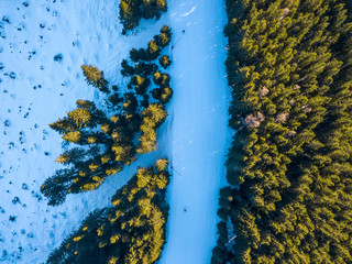 Ski Slope and Forest. Aerial View