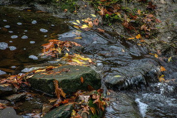 stream water over rocks with fall leaves