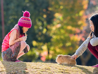 冬の公園でウサギと遊んでいる子供姉妹