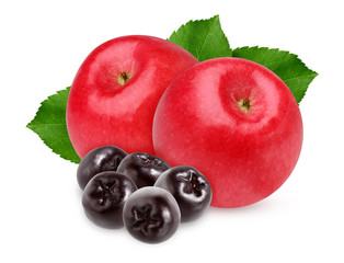 red Apple and black chokeberry isolated on white background.