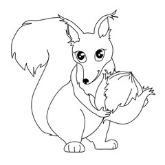 Cute squirrel vector
