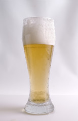 glass of cold beer with foam