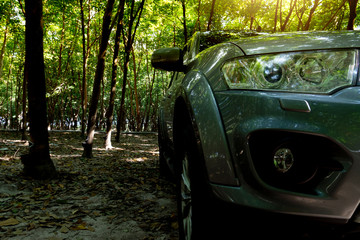 Front of gray car stop in rubber tree forest with reflected light of a tree shade.