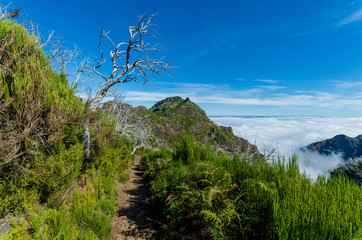 From mountain Pico Arieiro to Pico Ruivo