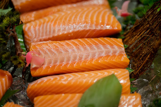 Very fresh raw salmon sashimi sliced are display on table. There are good piece of salmon due to orderly fatty layer in the bright orange meat. Food selective focus photo.