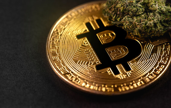 medical marijuana, cannabis bud and bitcoin symbol, cryptocurrency macro, closeup