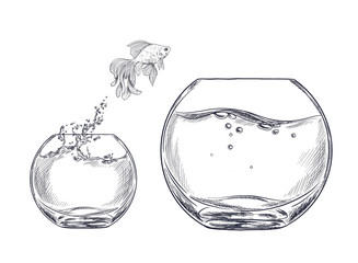 Small goldfish jumping from one fishbowl to other