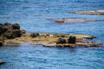 Fototapeta premium Debris on rocky formation in the Mediterranean Sea at the port of Caesarea, Israel