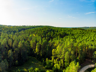 Las drzewa dolina niebo sosny świerki © Dariusz