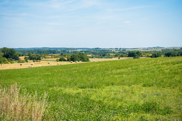 Polana pole las wieś lato