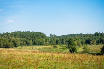 Polana pole las wieś lato © Dariusz