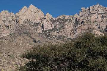 Fototapeta premium Organ Mountains in southwest New Mexico.