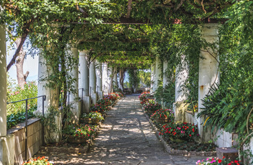 Beautiful floral passage with columns and plants overhead in garden in Anacapri, capri island, Italy