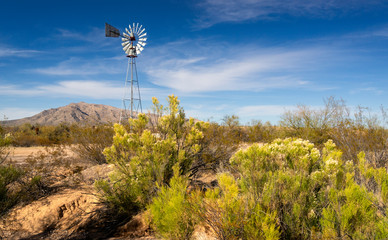Windmill and Desert Broom