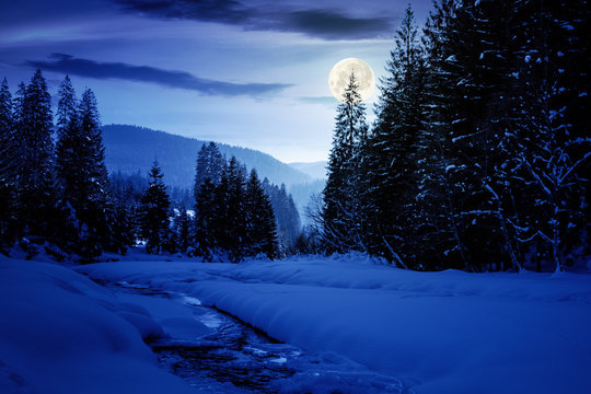 frozen and snow covered mountain river at night. carpathian winter landscape in full moon light light. spruce forest on the river bank