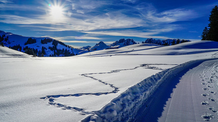 paysage enneig&eacute; avec des montagnes pointues dans le fond soleil et ciel bleu et traces dans la haute neige dans les pr&eacute;alpes suisses