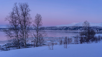 bord d'un fjord gelé à l'heure bleue et couleurs magenta avec des arbres sans feuilles paysage tranquille