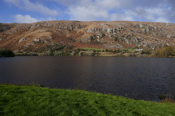 autumnal landscape in west cork