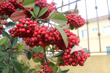 Portugal: Lisboa and Sintra