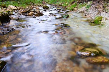 Mossy Glen 