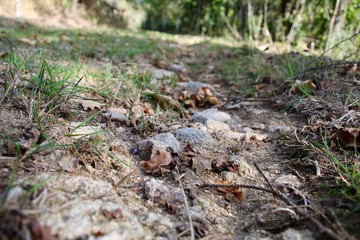 chemin de pierres