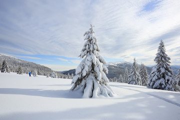 Beautiful landscape of high mountains, wood and blue sky. Winter scenery. Lawn covered with white snow. Location place Carpathian, Ukraine, Europe.