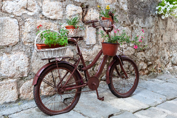 old Bicycle with flowers in a basket on the background of an old wall, Perast, Montenegro