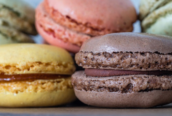 colorful macaroons on a white background