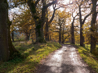 wandern im 5 Seen Land (Bayern)