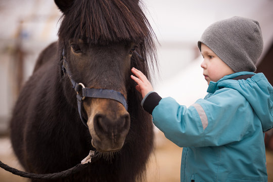 Closeup of a kid stroking a horse. The boy is preparing to learn how to ride a pony in the cold season. Hippotherapy for the development of the baby. A child in a turquoise overalls. Selective focus