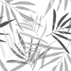 Tropical palm leaves seamless pattern. Flower print in black and white color. Delicate vector illustration. Light background.