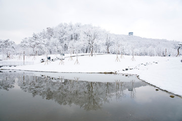 Landscape of a park with lots of snow.