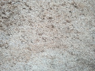 Cement surface