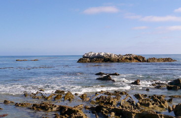 Laguna Beach and surrounds