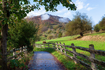 Paisaje rural y natural de Asturias en Caso