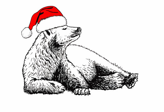 Graphical Bear In Santa Claus Hat Isolated On White Background,vector New Year Illustration