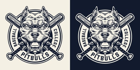 Vintage sport team monochrome logo