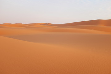 Desert landscape of sand dunes in Riyadh, Saudi Arabia