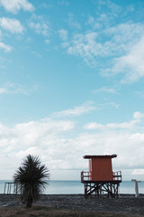 The city of Batumi in Georgia. Coastline with modern buildings and hotels on the beach. Lake with a house and seagulls.