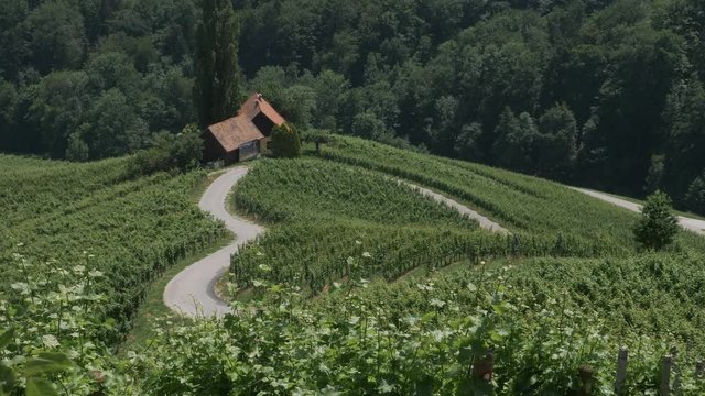 Nice road with a heart shape in Slovenia. Spicnik, Maribor.
