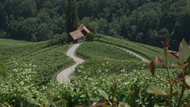 Nice road with a heart shape in Slovenia. Spicnik, Maribor.