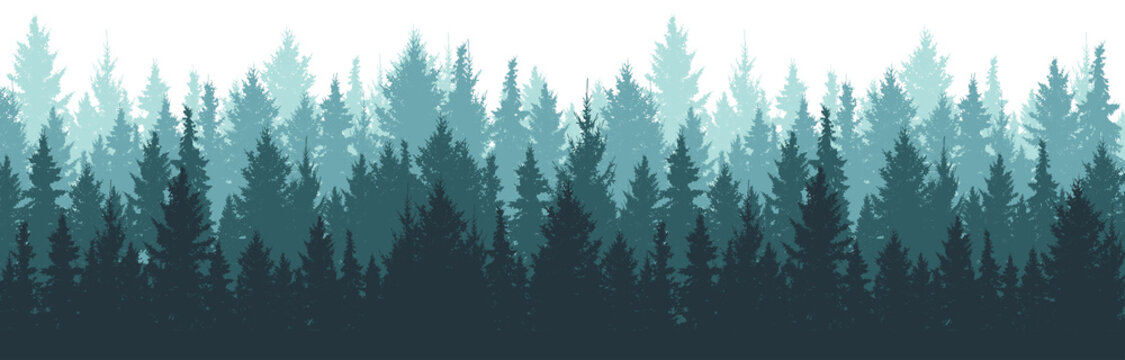 Forest background, nature, landscape. Pine, spruce, christmas tree. Fog evergreen coniferous trees. Silhouette vector