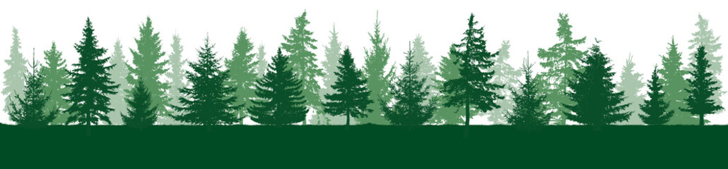 Summer forest horizon. Silhouettes of fir trees. Vector illustration