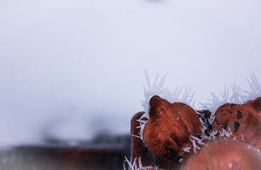 metal in the frost. abstraction. winter concept copy space