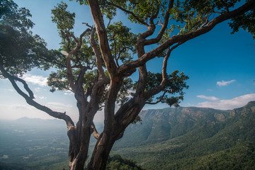 Kolli Hills 70 bends road in Tamilnadu, India