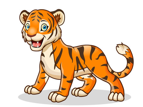 cartoon tiger isolated on white background.