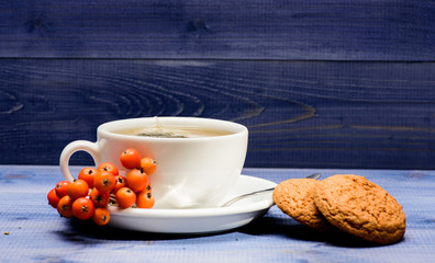 Ceramic cup hot fresh brewed tea beverage. Health care folk remedies. Drink aromatic rowanberry beverage. Cup of tea on blue background close up. Gourmet delicious taste. Cafe menu. Herbal tea